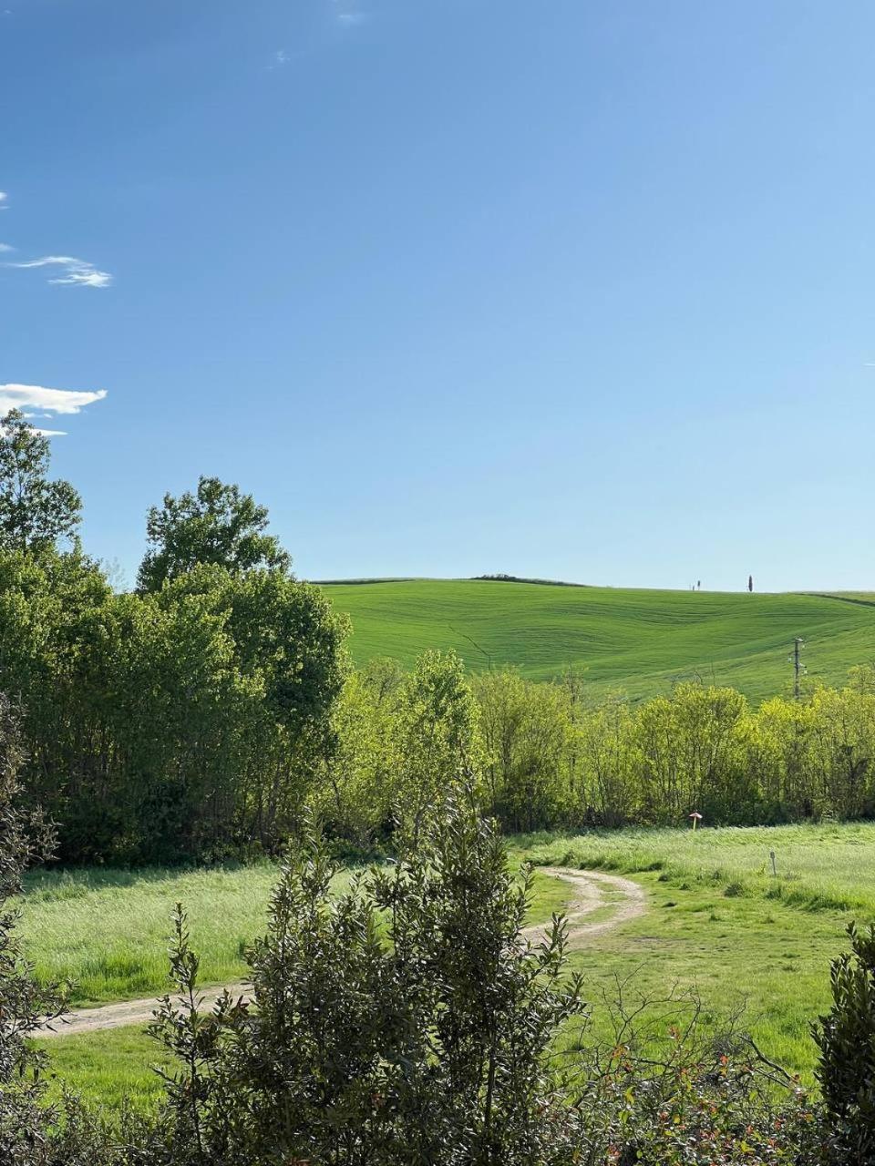 Apartament L'Olivo Maritato Siena Zewnętrze zdjęcie
